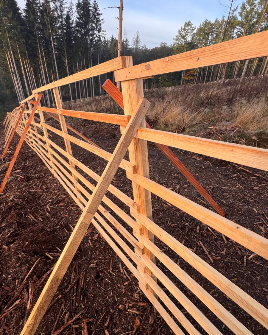 Lärchen Hordengatter aufgebaut im Wald