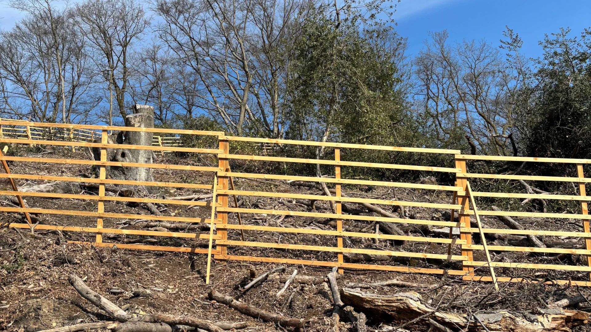 Alexander Austenfeld