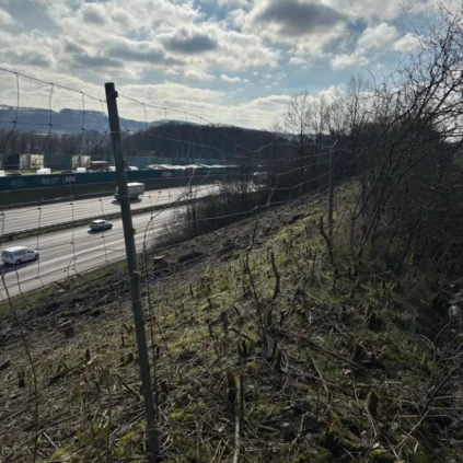 Knotengeflechtzaun als Verbissschutz entlang einer Autobahn im Wald