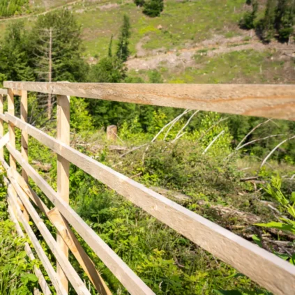 Hordengatter aus Holz schützt eine Aufforstungsfläche vor Wildverbiss